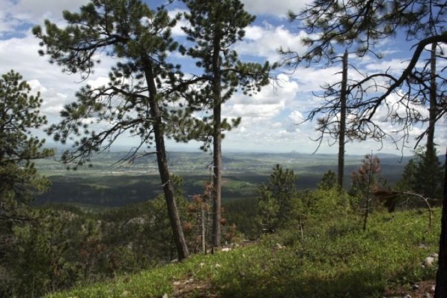 Black Hills, Mining, Land and the Lakota