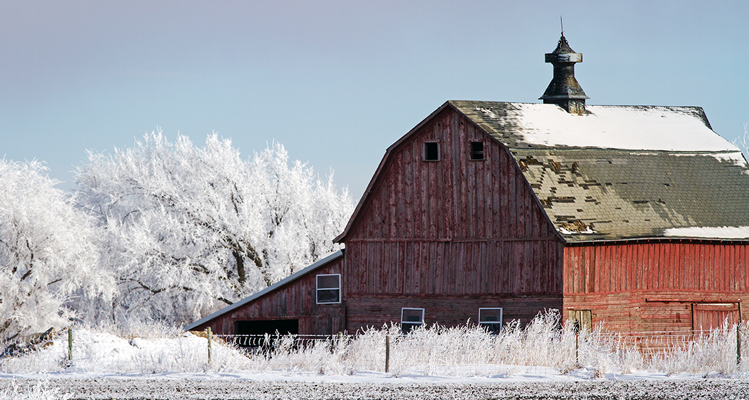 The Colors Of Winter