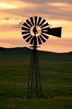 On the open prairie of Harding County.