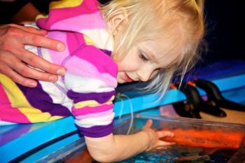 Shelby wasn't afraid to touch a small shark in the Marine Cove’s touch pool.