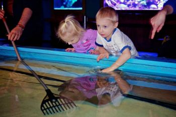 Bo and Shelby checking out the sting rays in the touch pool.