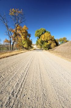 A gravel road stretches off into the horizon on a blue sky September day in Davison County.