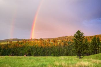 An early morning rainbow after a shower at Wind Cave National Park.