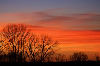 A classic November sunset taken in Clay County.