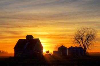 Outbuildings and grain bins along the Clay and Union County line at sunset.