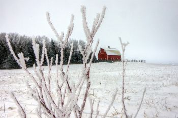 A red barn with frost and snow in rural Moody County.