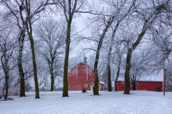A red barn surrounded by frosty trees in southern Kingsbury County.
