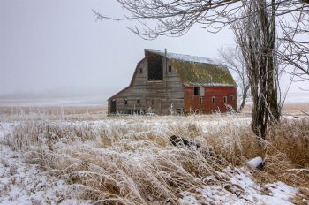 A red barn with frosted grass just west of Lake Thompson in Kingsbury County.