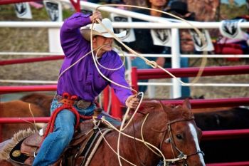 Calf roping requires focus, skill and a little luck.