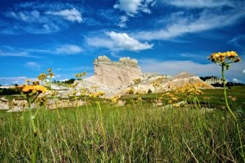 Wildflowers and a blue sky accompany the Slim Butte formations.