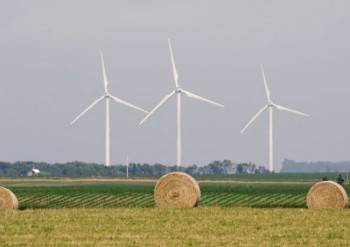 Wind turbines near Elkton. 