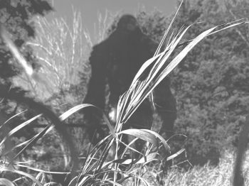 Is Sasquatch hiding out in the little mountain town of Keystone?