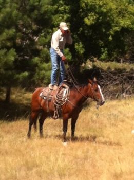 Rancher Jim Meeks uses cowboy ingenuity and a steady horse to boost his cell phone reception. Photo by Elsie Meeks.