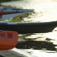 Dozens of canoeists and kayakers took part.