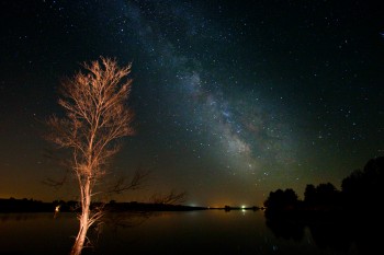 Taken at Lake Vermillion in May. I used a flashlight to light the tree.