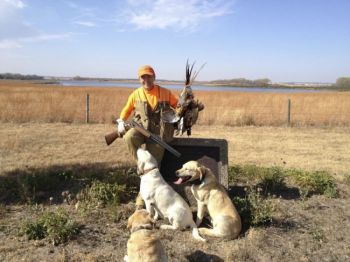 Lee's in-state opener experience yielded three roosters, three contented dogs and one happy hunter.