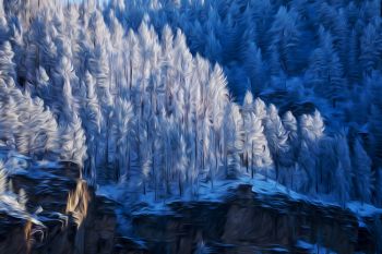 Winter solstice scene in Spearfish Canyon.