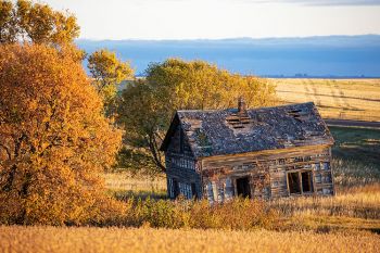 An abandoned house accented with fall color in Campbell County.