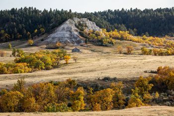 An autumn scene found south of the JB Pass road in the Slim Buttes of Harding County.