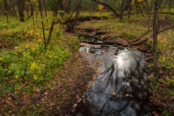 Sica Hollow is a beautiful woodland near Sisseton that is steeped in folklore. Photo by Chad Coppess/S.D. Tourism