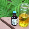 Make your own mosquito repellent with lemon eucalyptus and vegetable oil. Photo by Rebecca Johnson.