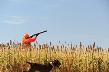 Hunters cherish the stories from their South Dakota pheasant hunts just as much as the birds themselves.