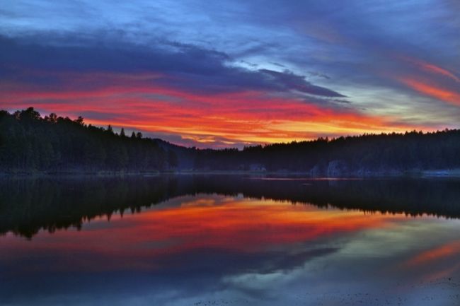 The Four Seasons at Custer State Park