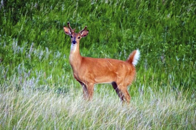 Magic Moments at Little Moreau Recreation Area