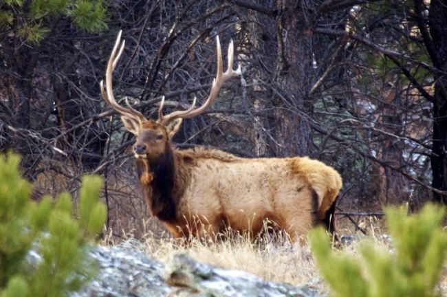 The Elks Club at Wind Cave National Park