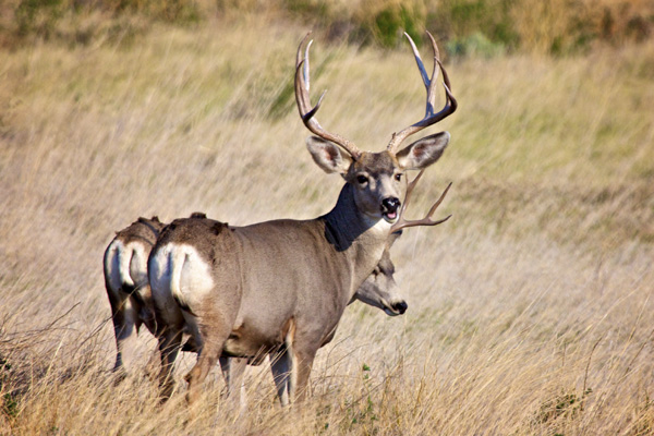 Another Good Day in the Badlands of South Dakota