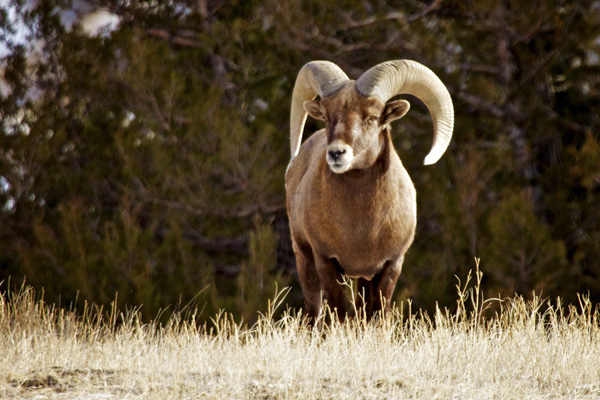 Another Good Day in the Badlands of South Dakota