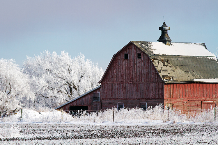 The Colors of Winter