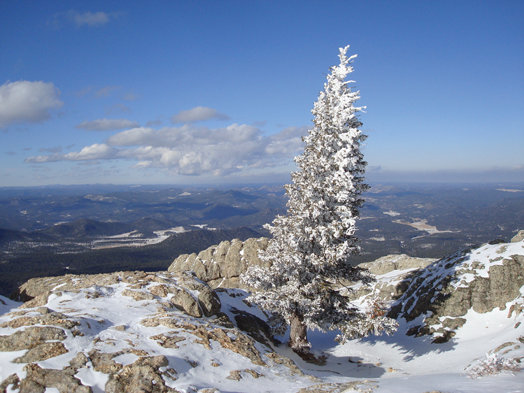 black elk peak trail