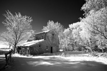Unused barns surrounded by trees make for great photo ops on a frosty morning.