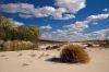 Production Manager Andrea Maibaum chose Sam Stukel’s photo of Goat Island near Meckling.