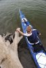 A cottonwood stump served as a launching point for kayaker Matt Perkins of Meckling.