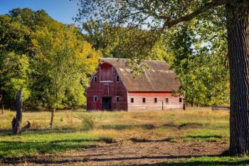 The first touches of fall frame this barn near Choteau Creek in southwestern Bon Homme County.