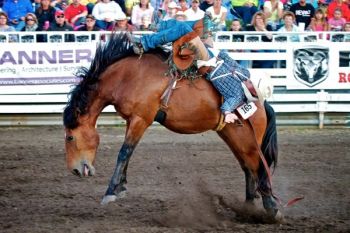 Begeman didn’t realize how hard riding these broncs must be until he reviewed my snapshots of the ride. “Hanging on for dear life with my heels above my ears is not a skill I possess,” he said.