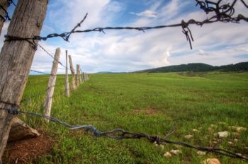 A fence line accentuates the green prairies that border the Hogback near St. Onge. Click to enlarge pictures.
