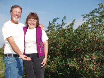 Jeff and Jolene Stewart raise aronia berries near Wagner, South Dakota. Photo by Loretta Sorenson.