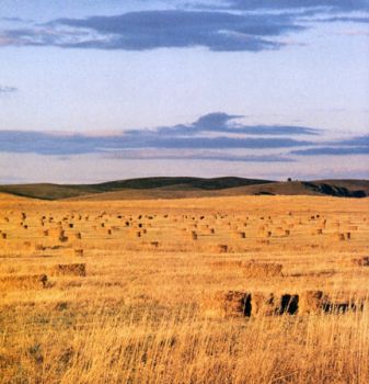 Hay bales stretch as far as the horizon on the Pine Ridge Reservation. Photo by Marianne Larsen.