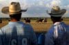 Rebecca Johnson, Special Projects Coordinator, chose this photo of cowboy polo by Seth McConnell.  It s an interesting way to frame the action. 