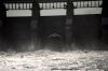 Roger Holtzmann, contributing editor, chose this photo of a gull skimming the waters below Gavins Point Dam. Photo by Bernie Hunhoff.