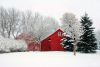  I was interested to learn the reason behind farm buildings  red color,  says administrative assistant Ruth Steil.  And the contrast between the snow-frosted trees and the barns is beautiful.  Photo by Deb Eisenhauer.