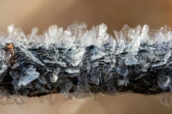 Close-up of hoarfrost.