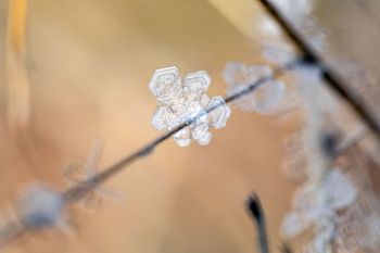 Detail of ice structure.