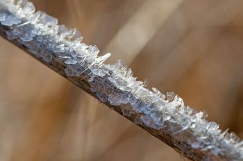 Hoarfrost on grass.