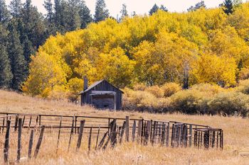 An old cabin in rural Lawrence County.