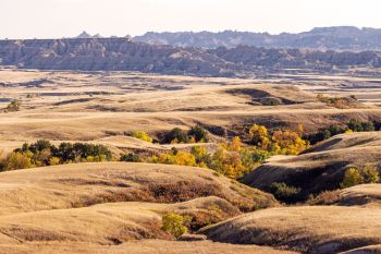 Autumn color in the high draws of Sage Creek Wilderness.