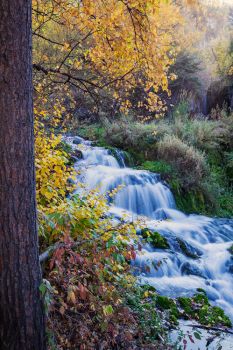 Lower Roughlock Falls in Spearfish Canyon.